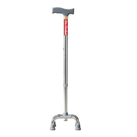 adult walking stick