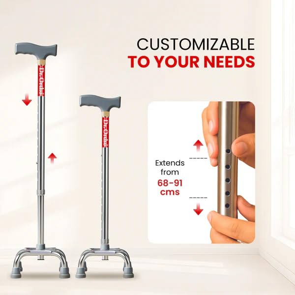 adult walking stick