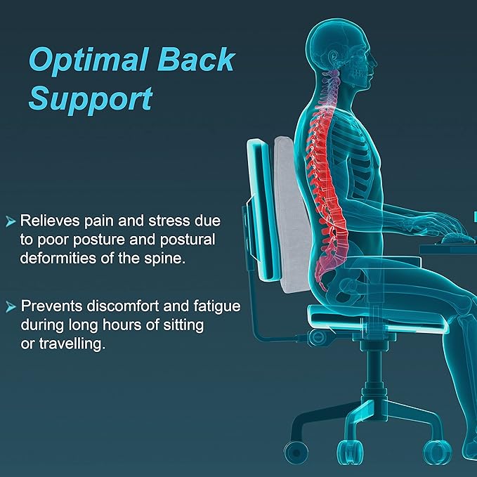 back rest support