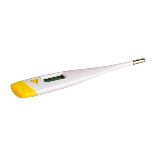 Digital Thermometer